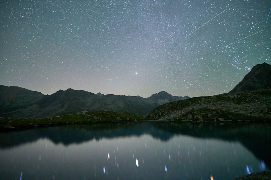 陈赫刘宇宁陈星旭成站哥了 综艺新现象引发热议